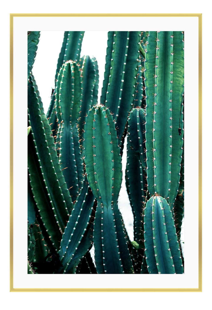 Canvas Print Small		50x70cm / Gold Cactus fluro Cactus fluro Framed Print Brand