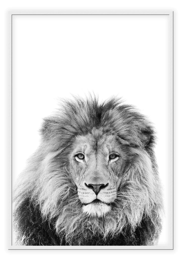 Canvas Print Lion Sketch Lion Sketch Wall Art : Ready to hang framed artwork. Brand